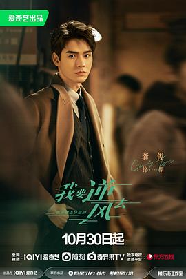 昌都seo站内优化服务